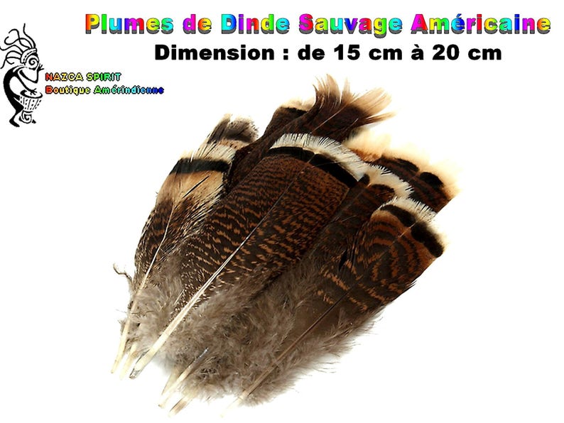 Grandes Plumes Naturelles de Dinde Sauvage de 12 cm à 18 cm, Plumes Origine U.S.A, Plumes de Virginie Occidentale, Plumes Tribales Ethniques image 2