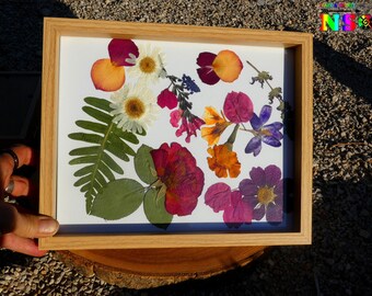 Composizione Fiori secchi 27 cm ("10.62) di larghezza in posa - Pittura artigianale Decorazione domestica - Fiori naturali Estate 2021