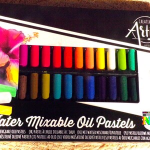 Large Box of 30 Water-mixable Oil Pastels - Professional Quality Art Pastels for Drawing and Hobbies - Box of 30 Colors