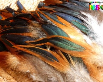 ¡Precio a la baja! Plumas de gallo iridiscentes naturales de color verde y cobre, 10 cm - 14 cm, creación de joyas de objetos tribales étnicos, recién llegado en marzo de 2024