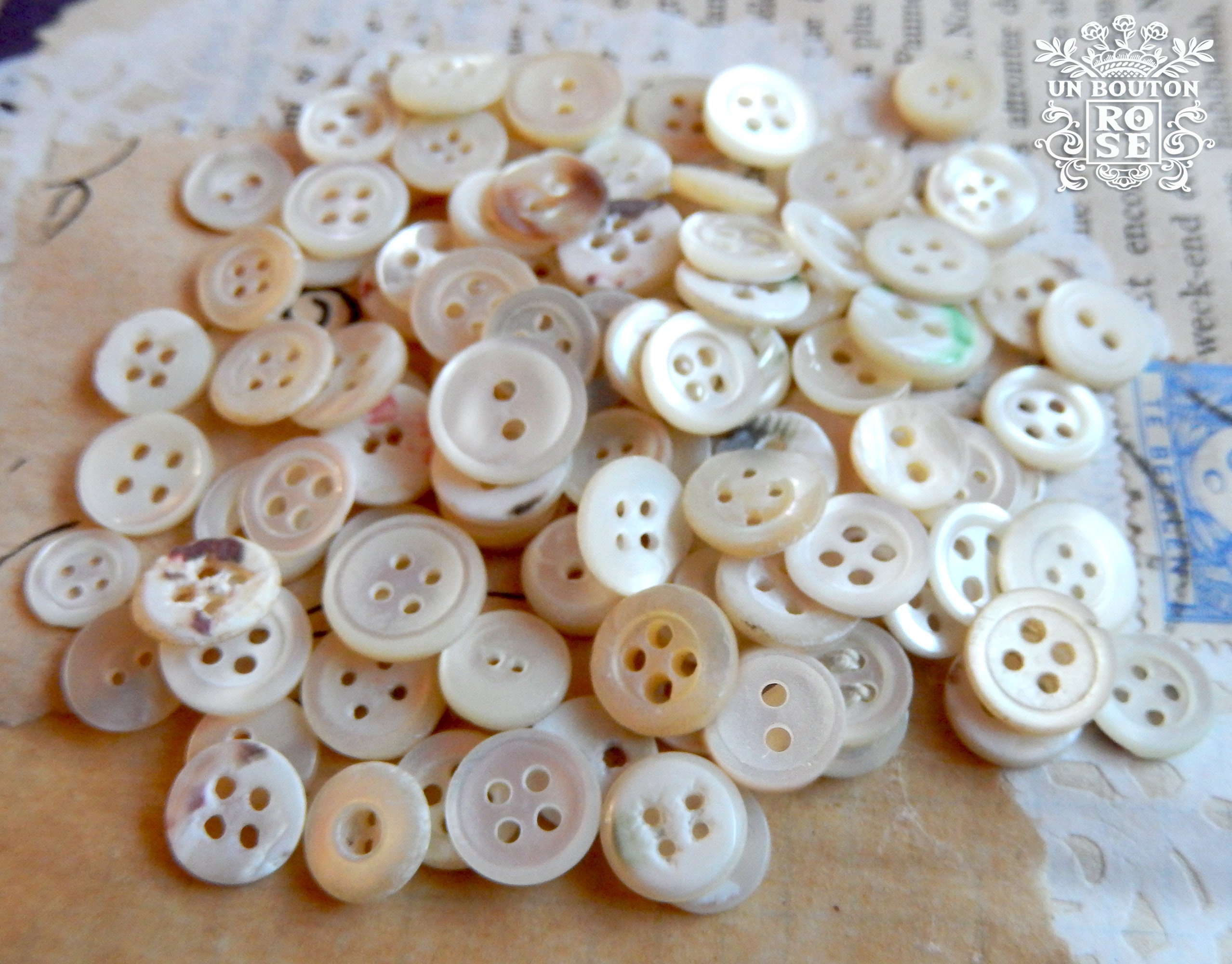mercerie ancienne 6  boutons nacre 15 mm@buttons white 