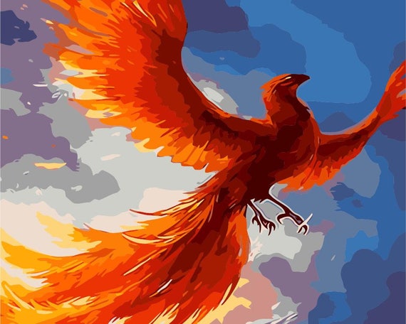 paintnumbers kit for adults  framed canvas  phoenix