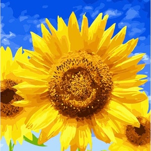 Paint by Numbers Kit for Adults - Framed Canvas - 40x50cm - Blue Sky and Sunflowers