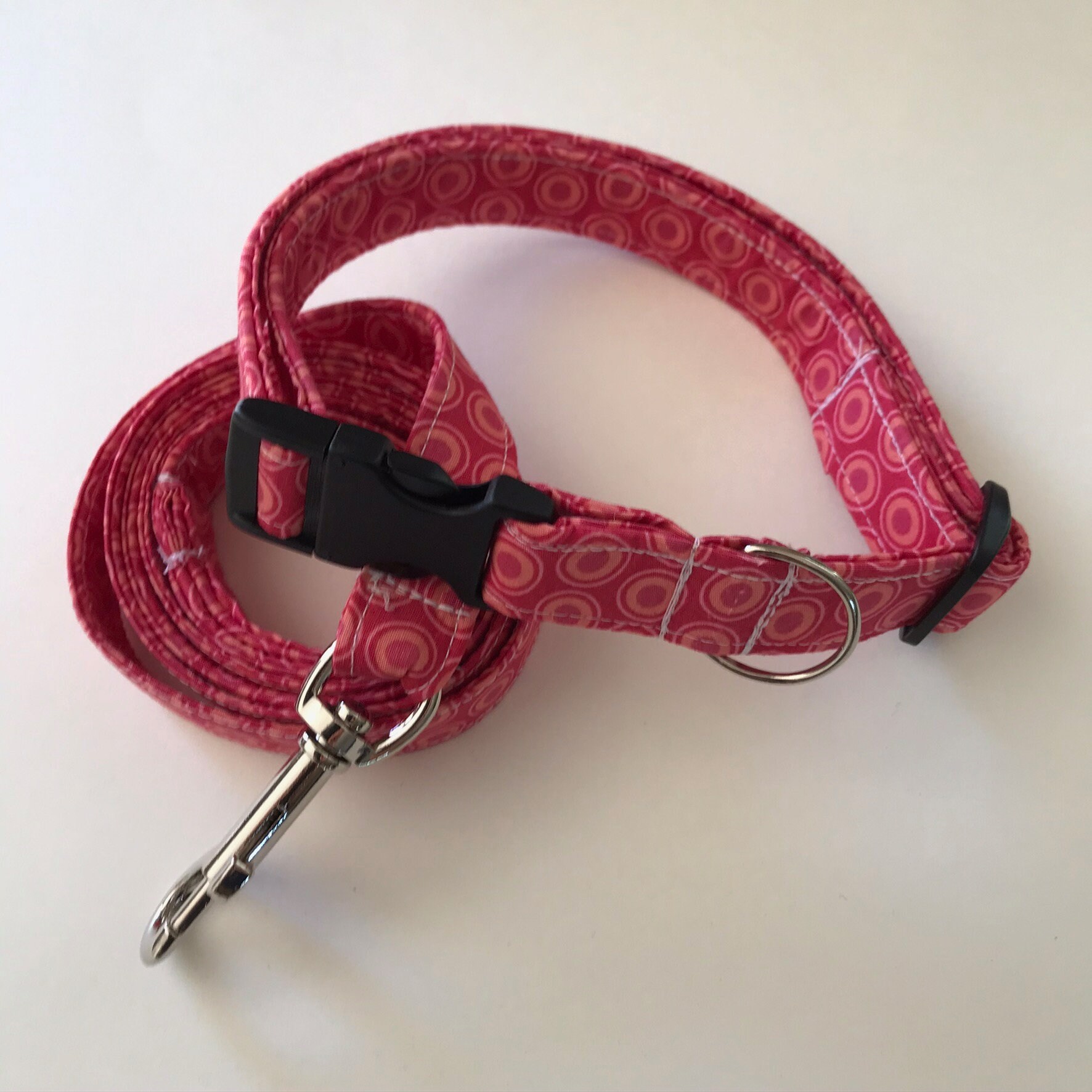 Collier et Laisse Pour Chien