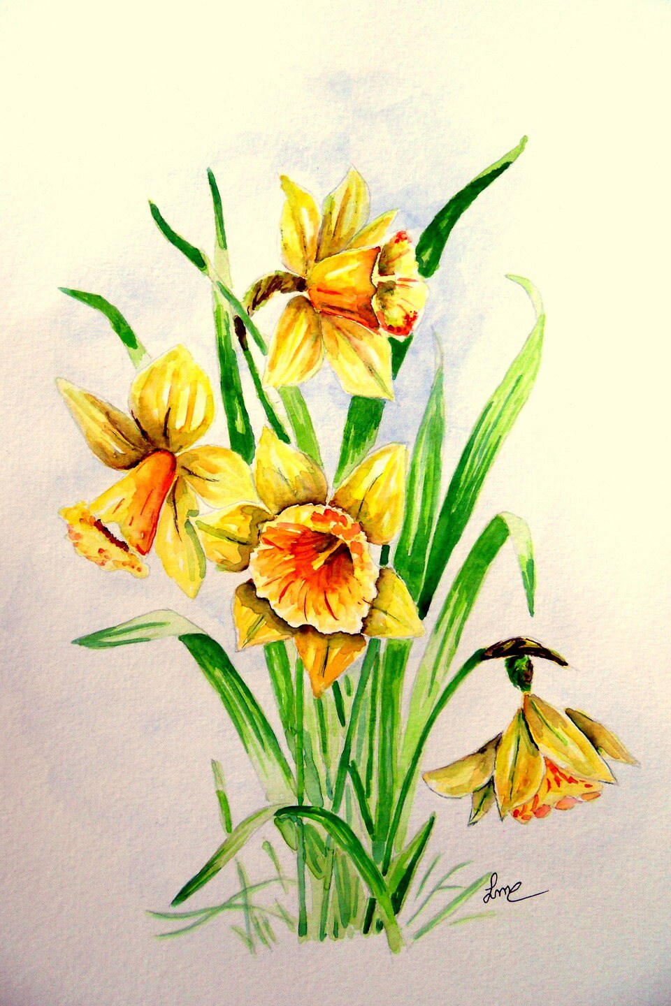 Original watercolor painting Daffodils single Etsy