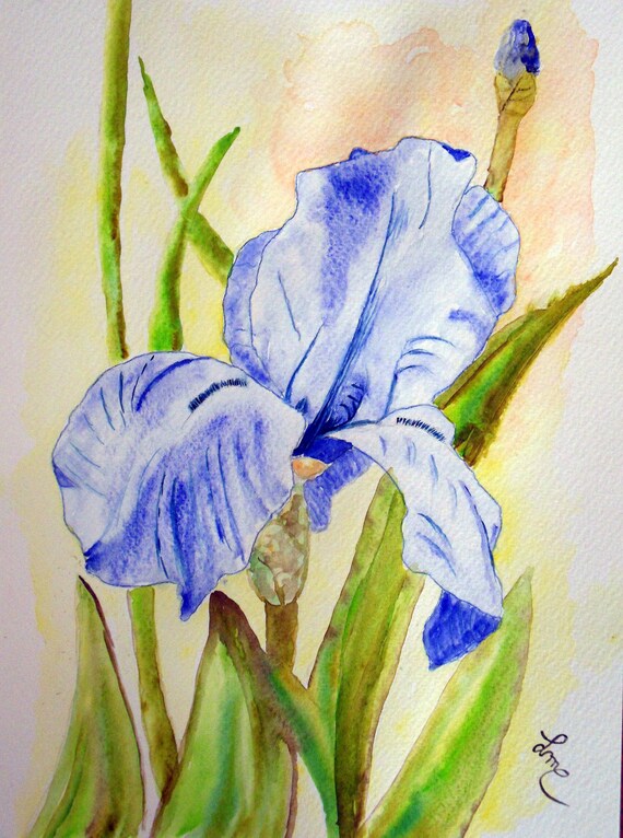 アイリスの水彩画額装済み アイリスの水彩画額装済み