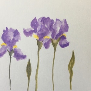 Carte postale aquarelle peinte main iris fleurs