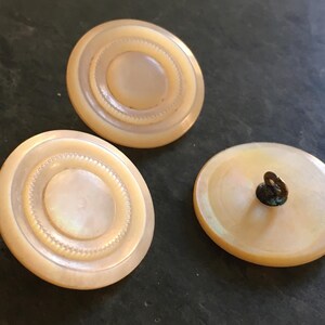 May include: Three round, white, mother-of-pearl buttons with a raised, concentric circle design. The button on the right has a gold metal shank.