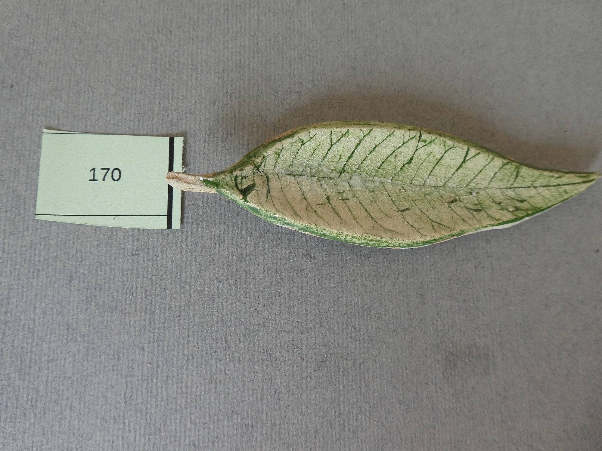 Feuille Terre Cuite Vernissée 108, 139, 170, 2582, 2583, 2585.