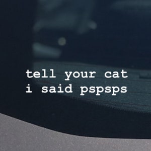 Puede incluir: Una pegatina blanca en la ventana de un coche con el texto "tell your cat i said pspsps". La pegatina está en la ventana trasera de un coche gris, con el interior visible.