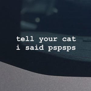 Dile a tu gato que dije pspsps® Calcomanía de vinilo para auto Regalo divertido para amantes de los gatos 8x2 pulgadas