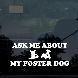 Posez des questions sur mon autocollant de voiture pour chien de famille d'accueil, autocollant en vinyle imperméable à l'eau. Sauver Adopter Enregistrer