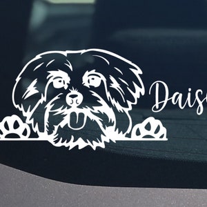 Peeking Maltese Dog Sticker, Maltese Car Vinyl Decal Window Dog Mom Maltese  Mom Stickers