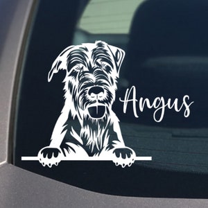 May include: White silhouette of a dog peeking over a surface with the name Angus written in cursive.