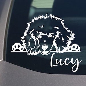 Peeking Poodle Car Decal / Sticker