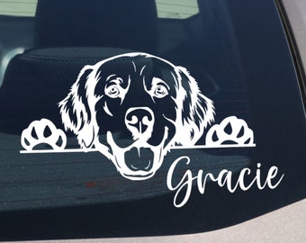Golden Retriever spähender Hund Auto-Abziehbild-Aufkleber, Golden Retriever-Hundeaufkleber, Vinylfenster nett, Golden Retriever-Liebhaber