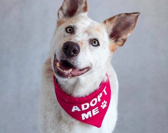 Adopt Me Bandana for Foster Dogs Puppies Rescue Dogs, Promote Adoption, Rescue, Adopt Me Bandanna