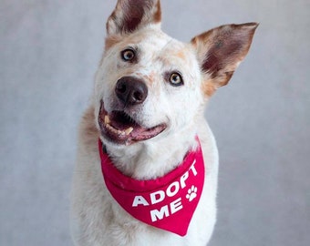 PLEASE ADOPT ME PUPPIES ~ OPTIONAL SIZES AVAILABLE! 63 STICKER LABELS