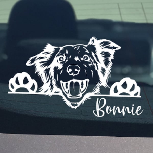 Peeking Australian Shepherd Car Decal / Sticker