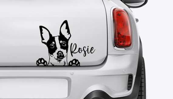 Mini Fox Terrier Peeking Dog Car Decal Sticker Toy Fox Terrier Dog Sticker Miniature Fox Terrier Vinyl Window Mini Foxie Rat Terrier Gift Etsy Canada
