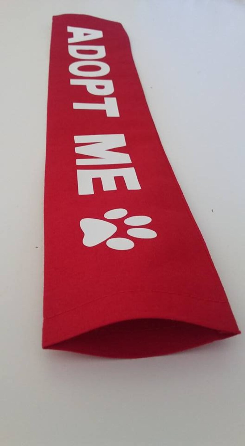 Adopt Me Dog Leash Lead Sleeve for Foster Shelter Rescue Dogs Etsy