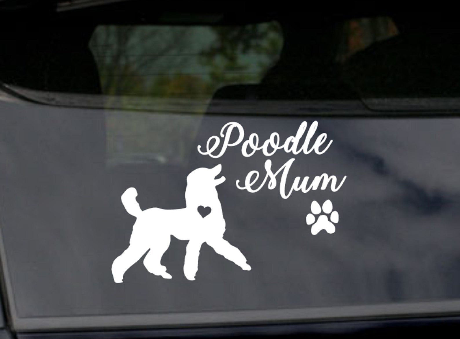 7+ Awesome Poodle Gift Ideas For Australians