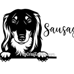 Long haired Dachshund Peeking Dog Car Decal Sticker, wiener Dog Sticker, Vinyl Window Cute,  gifts, Dachshund lover, Sausage Dog, Dachshunds