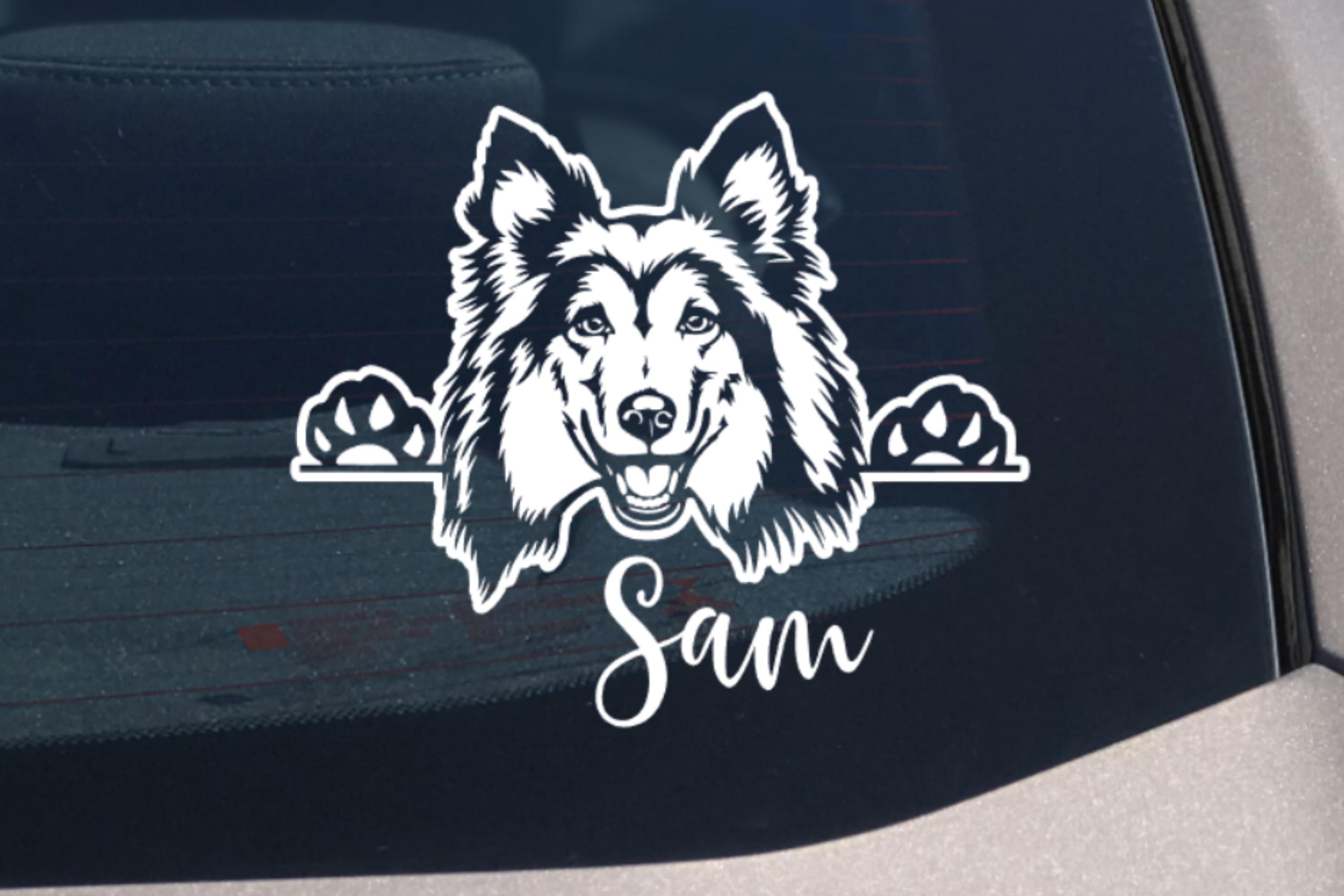 みーたん様　クリップシェルティちゃん シェルティが覗き込む犬の車用デカールステッカー、カスタム名入り