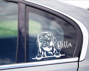 ラブラドールレトリバー犬の車用ステッカー、覗き見するラブラドール犬