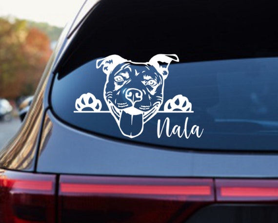 Pitbull Umbrella - Blue auto open & close Pitbull Umbrella - Blue auto open & close