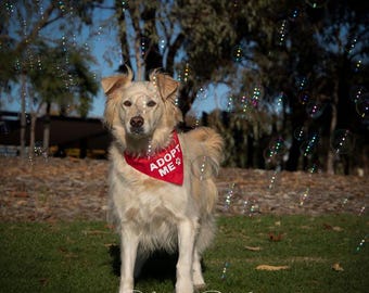 Adopt Me Bandana Foster Dog Rescue Dogs ... - Australia