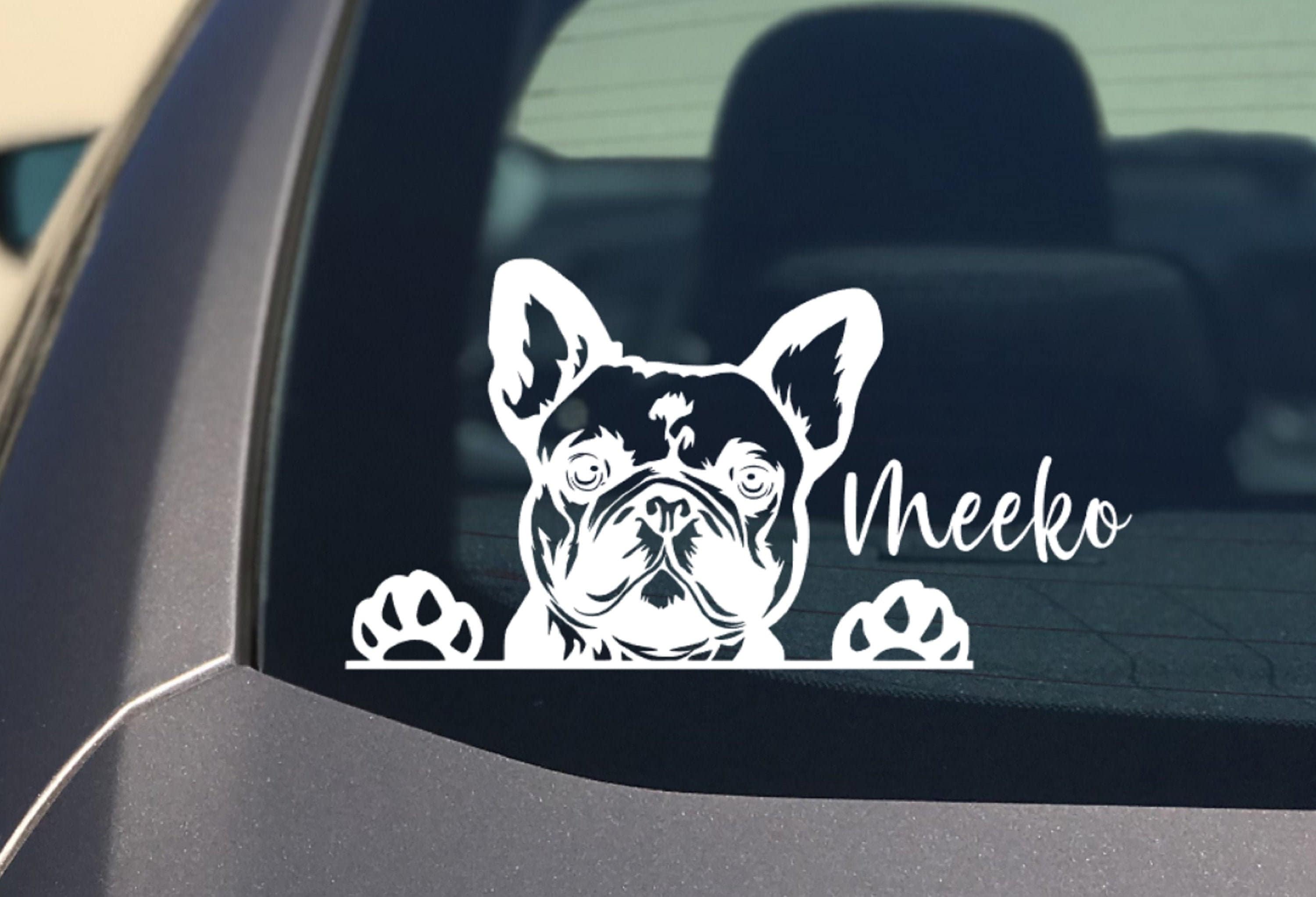 Französische Bulldogge Peeking Auto Aufkleber, Frenchie Dog Sticker -  .de