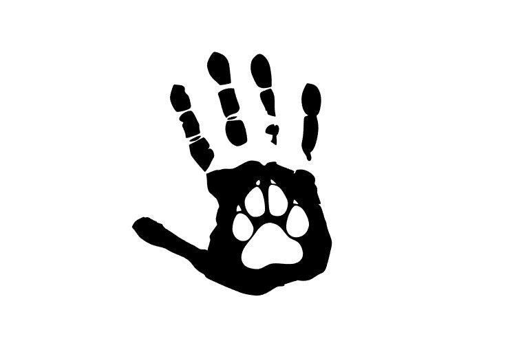 Hand and Paw Print Car Decal / Sticker Dog Car Decal Cat Car Etsy Australia