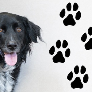 Paw Print Sticker Sets, Dog Paw Prints, Set of 4 or more, Cat Paw Prints, Indoor Removable Wall Fridge Kennel Window Vinyl Decals