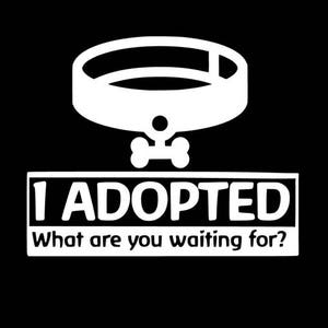 I Adopted. What are you waiting for? Dog Decal Cat Decal / Sticker. Rescue.