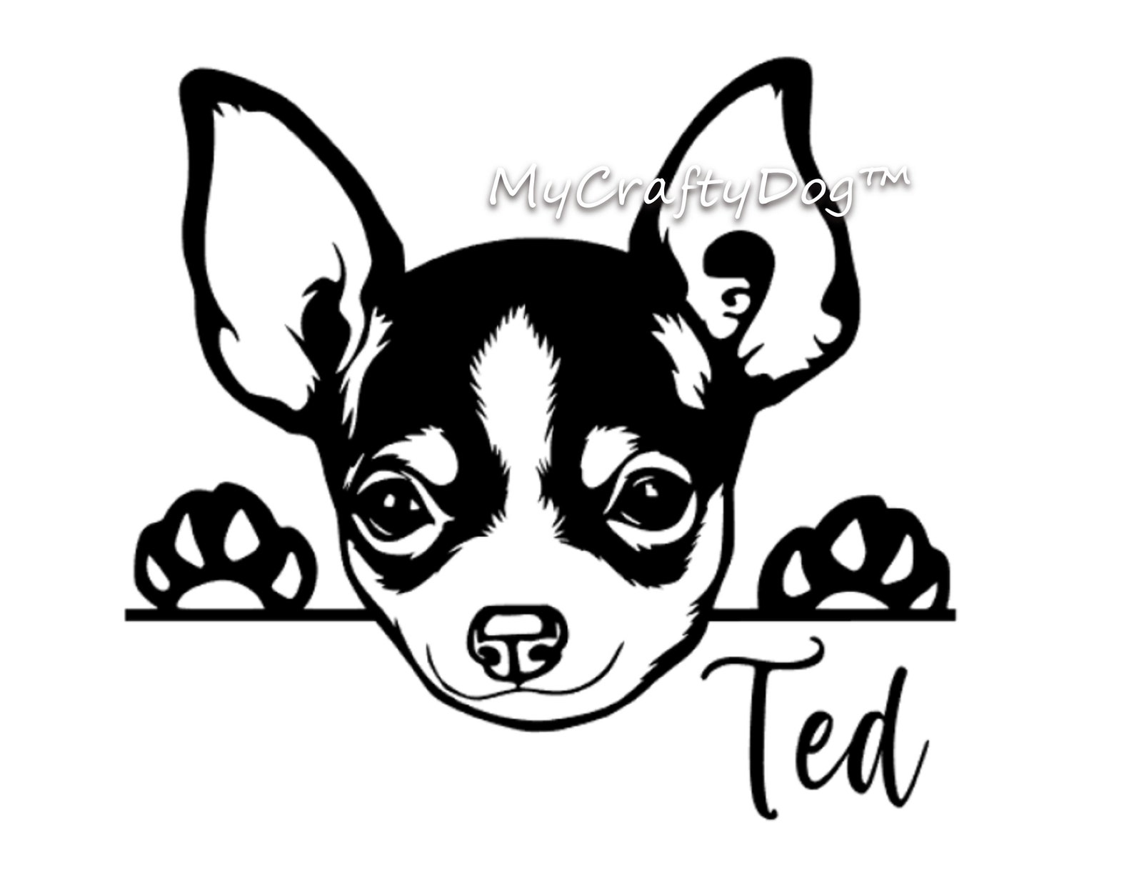 3+ Unique Gift Ideas For Chihuahua Lovers