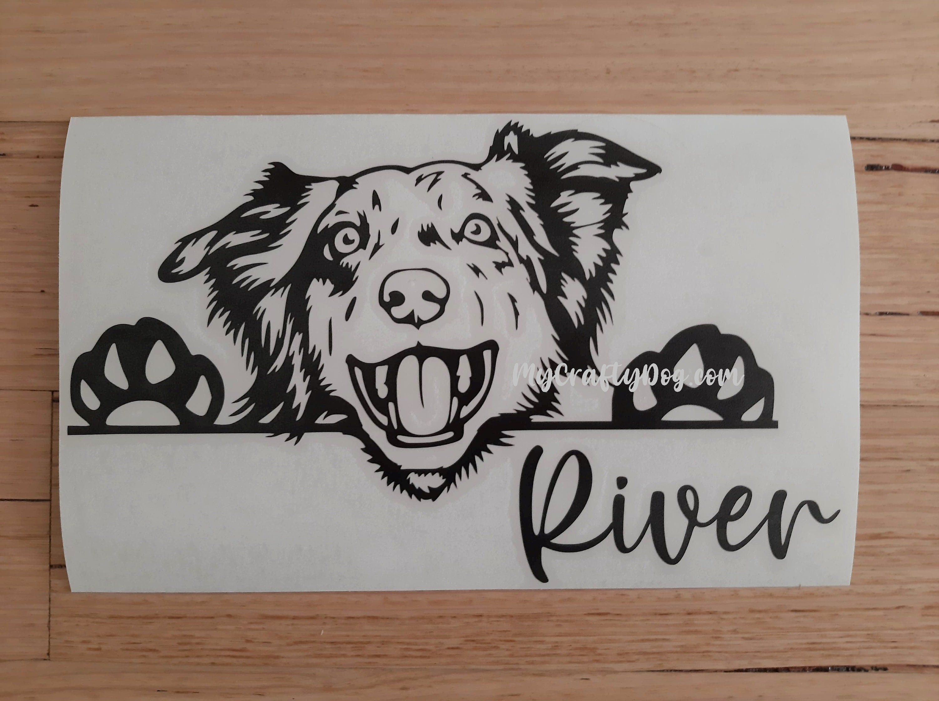 Peeking Australian Shepherd Car Decal / Sticker Etsy Australia