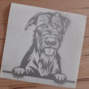 May include: A black and white illustration of a Wirehaired Pointing Griffon dog looking out from behind a surface. The dog has a long, bushy beard and a tongue sticking out.