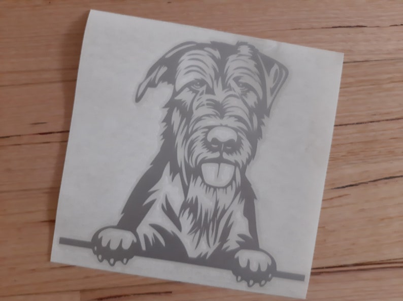 May include: A black and white illustration of a Wirehaired Pointing Griffon dog looking out from behind a surface. The dog has a long, bushy beard and a tongue sticking out.