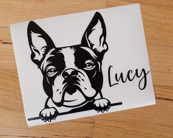 Peeking Boston Terrier Car Decal / Sticker
