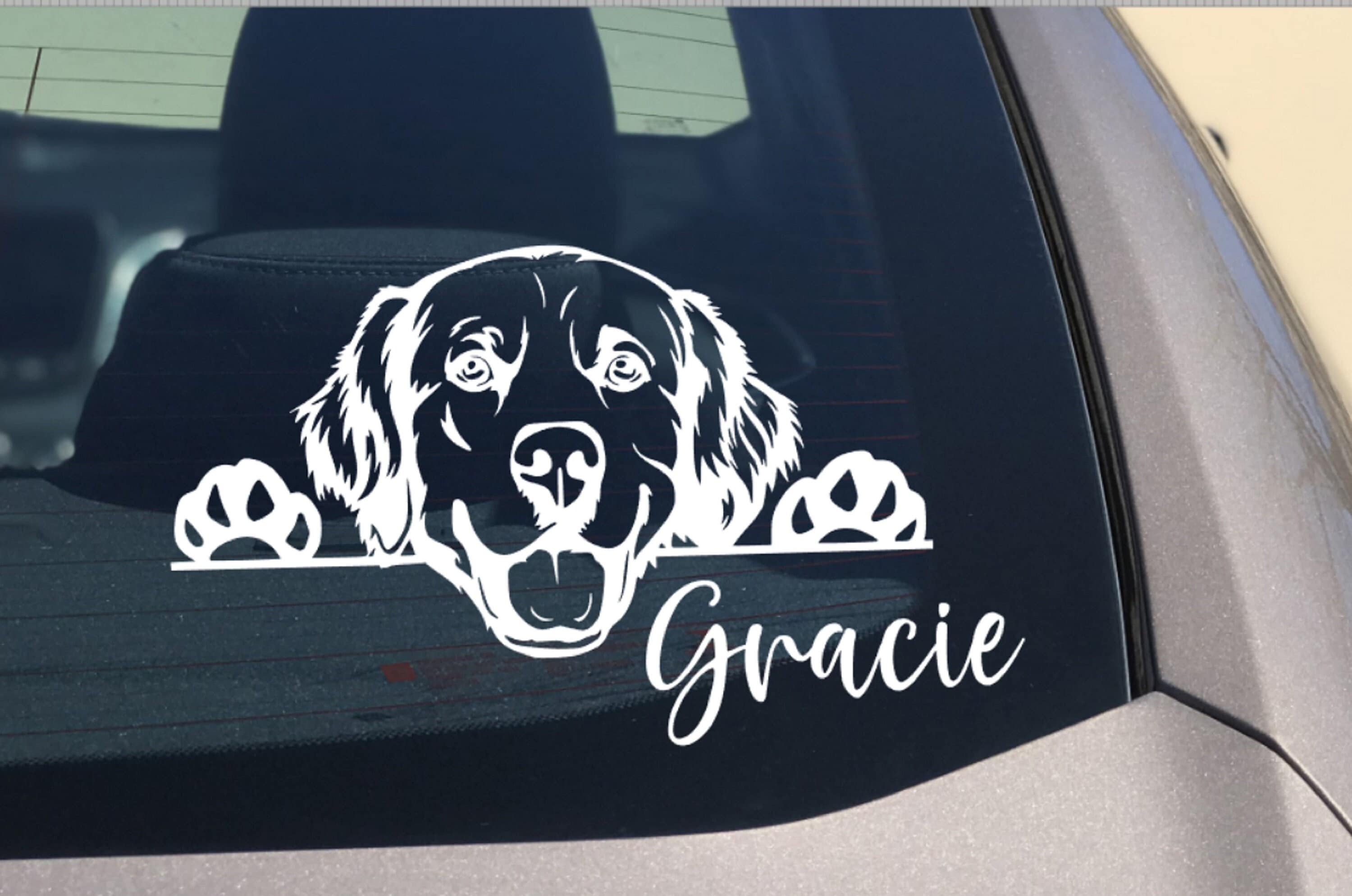 ゴールデン レトリバーの覗く犬の車用デカール ステッカー、ゴールデン