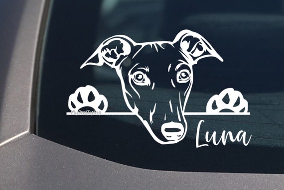 Greyhound car store stickers