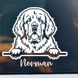 May include: A white vinyl decal featuring a stylised illustration of a dog with its paws resting on a horizontal line. Below the line, the name Norman is written in a cursive script font. The design is applied to a dark glass surface.