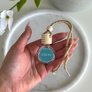 Clean Scent Car Diffuser, Aesthetic Car Diffuser, Essential Oil Car Diffuser, Car Air Freshner, Clean Scent Car Freshies, Reed Car Diffuser