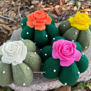 Cactus Pin Cushion, sewing pins, pin cushion, succulents, succulent, dessert cactus, cacti, nature, sewing, needles, cactus, sewing pins
