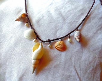 Shell and Freshwater Pearl Necklace