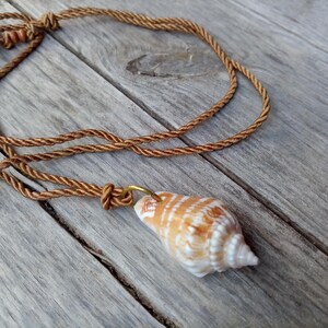 May include: A brown rope necklace with a seashell pendant. The seashell is white with brown stripes and is attached to the rope with a gold-coloured metal loop.