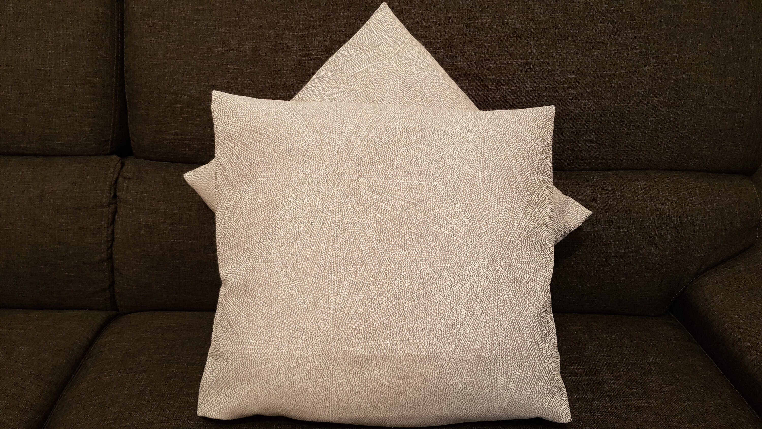 Lot de 2 Housses Coussin 35x40 cm