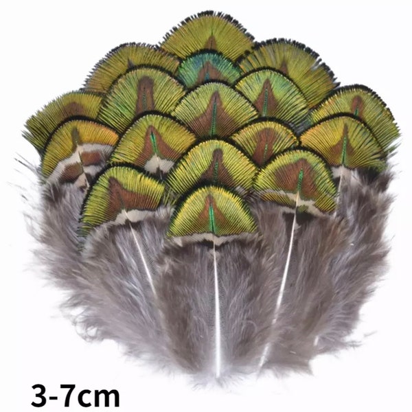 Plumes de paon naturelles,3 à 7 cm vendu par 10