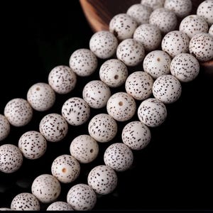 Natürliche Stern- und Mond-Bodhi-Perlen, Lotus-Bodhi-Gebets-Mala-Perlen, 10er-Pack